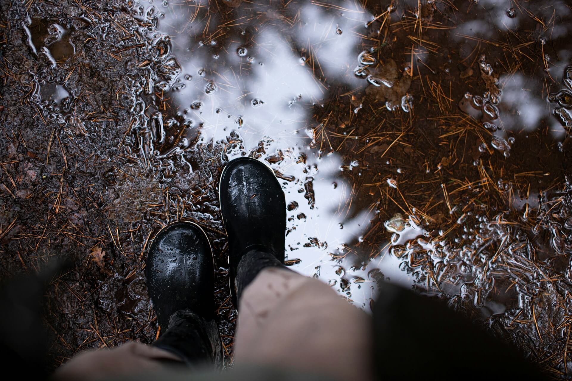 une paire de pieds humides dans la forêt un jour de pluie