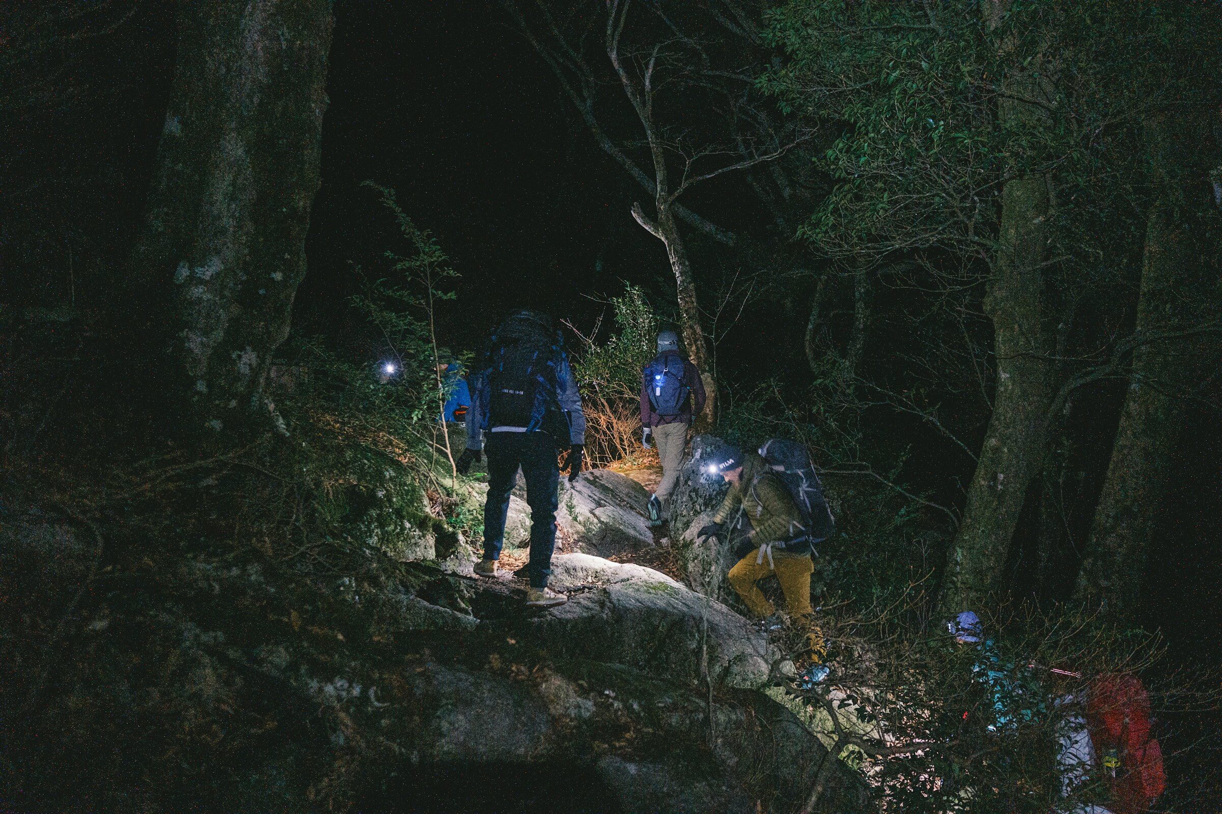 amis en pleine randonnée de nuit dans la forêt